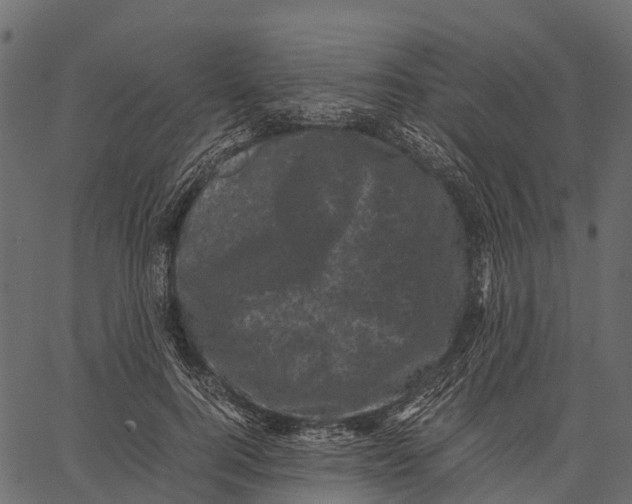 X0000062630744200601111059