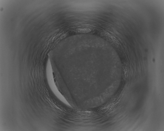 X0000062630745200601111059