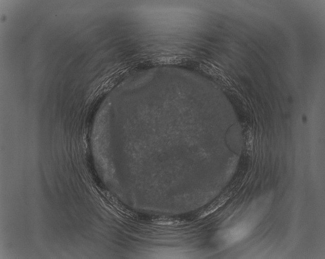 X0000062630746200601111059