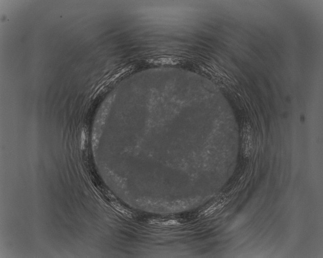 X0000062630747200601111059