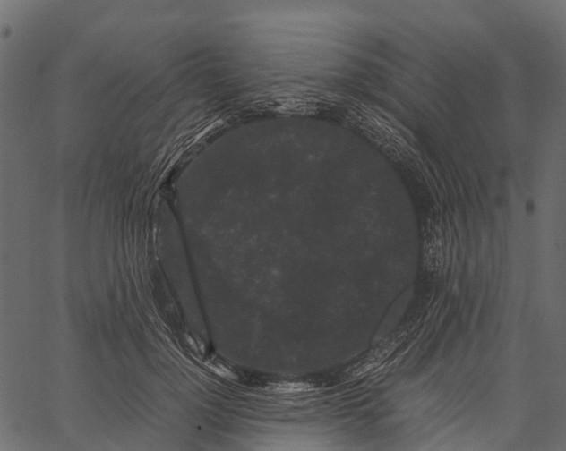 X0000062630748200601111059