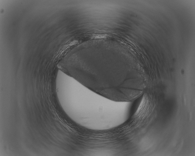 X0000062630750200601111059