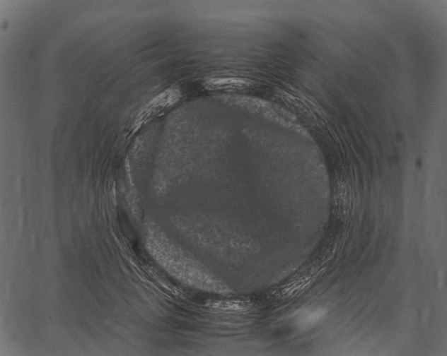 X0000062630751200601111059