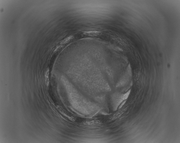 X0000062630752200601111059