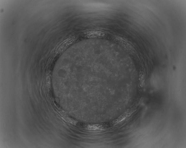 X0000062630753200601111100