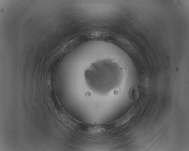 X0000062630754200601111100