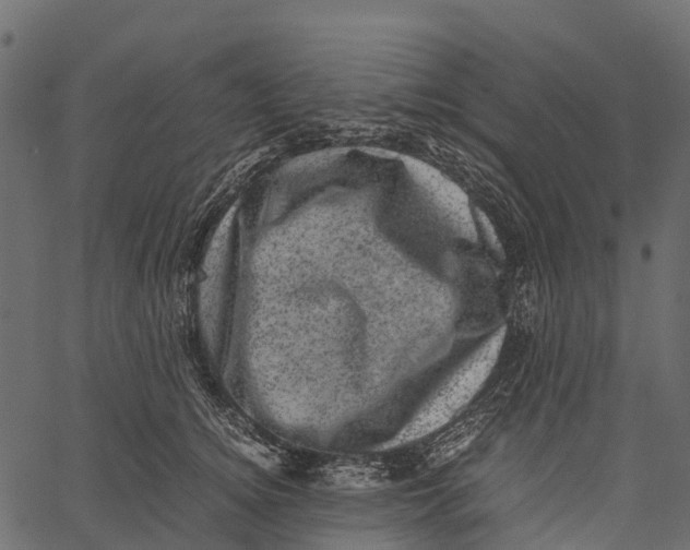 X0000062630756200601111100