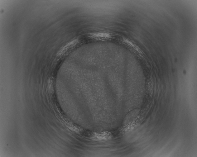 X0000062630757200601111100