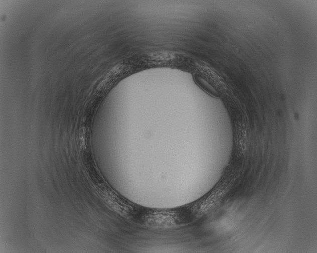 X0000062630758200601111100