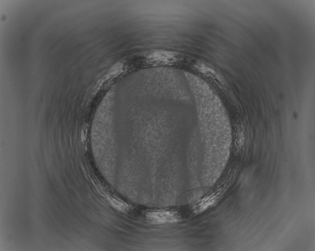 X0000062630759200601111100