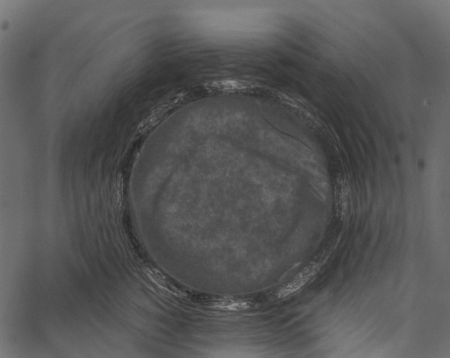 X0000062630760200601111100