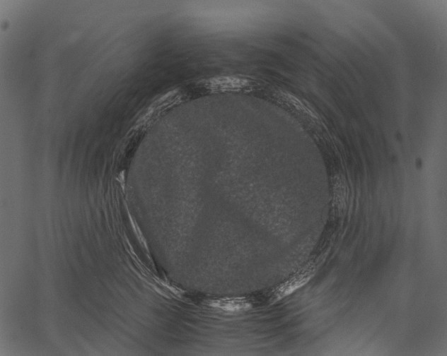 X0000062630761200601111100