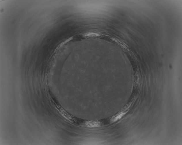 X0000062630762200601111100