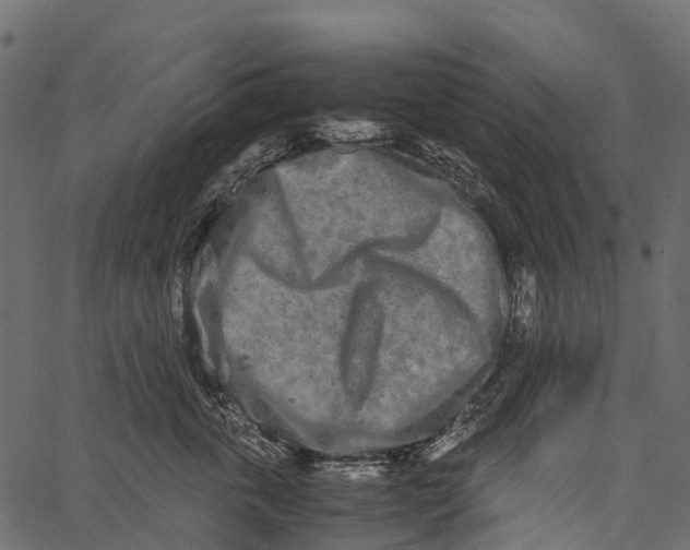 X0000062630763200601111100