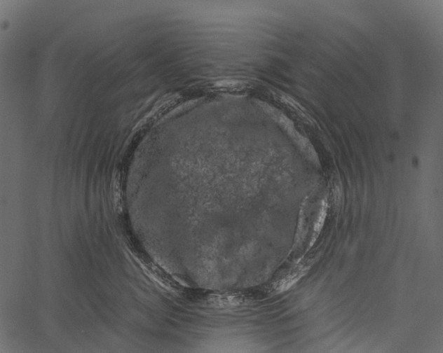 X0000062630764200601111100