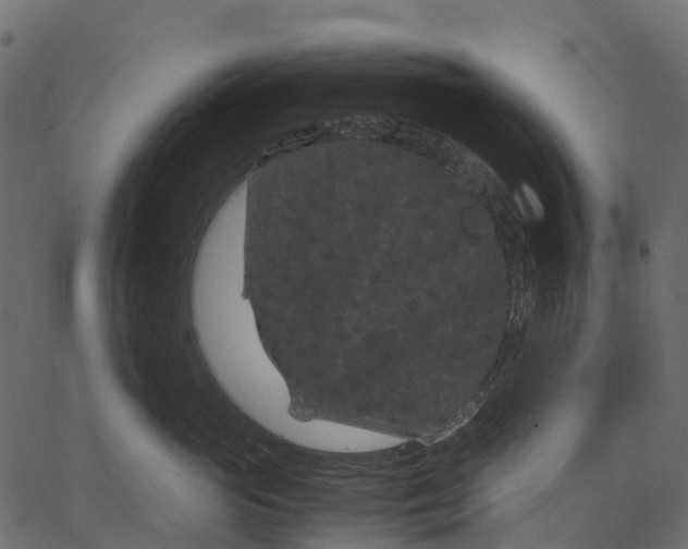 X0000062630765200601111100