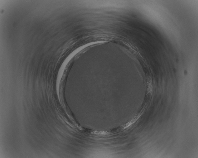 X0000062630766200601111100