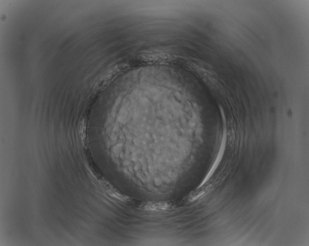 X0000062630767200601111100