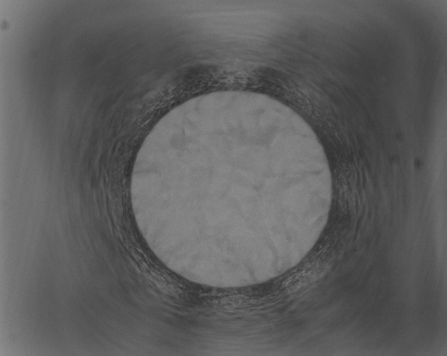 X0000062630769200601111059