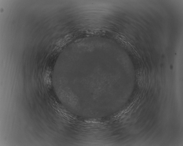 X0000062630770200601111059