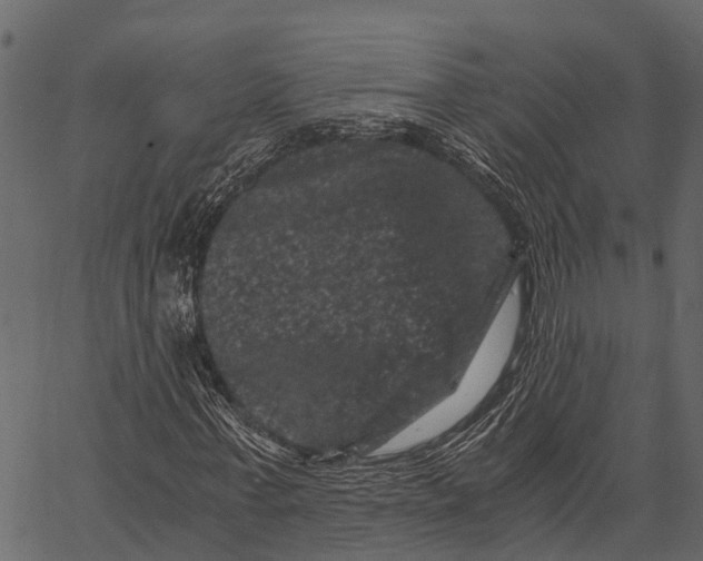 X0000062630771200601111059