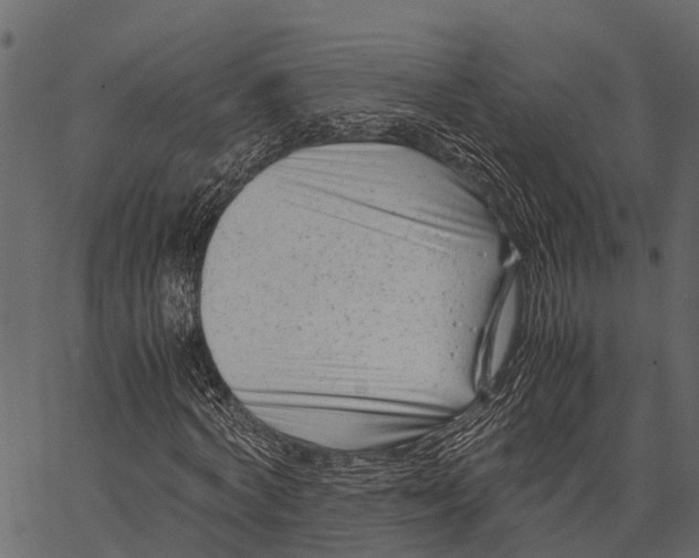 X0000062630772200601111059