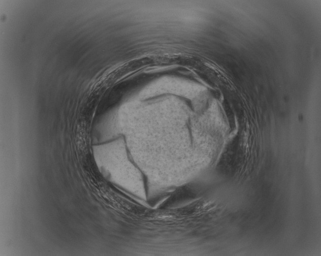 X0000062630773200601111059