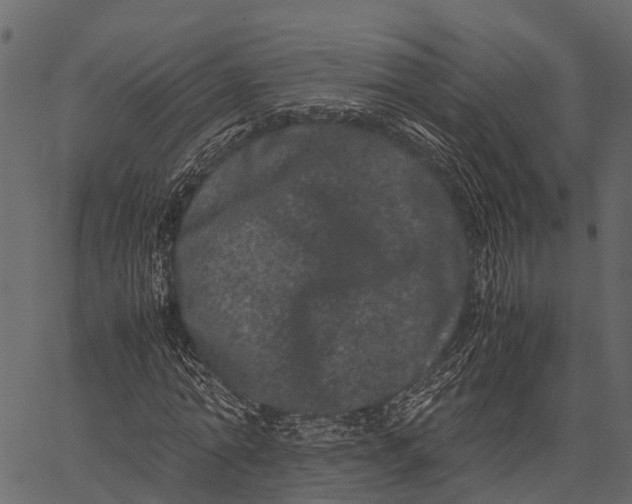 X0000062630774200601111059