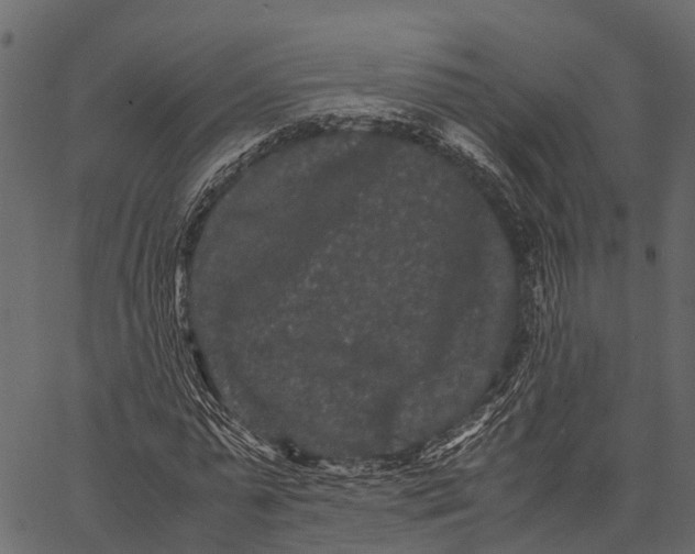 X0000062630775200601111059