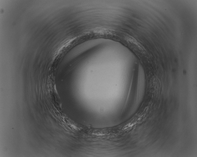 X0000062630776200601111059