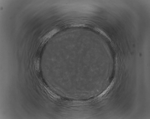 X0000062630777200601111059