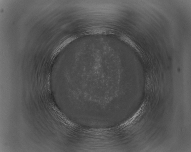 X0000062630778200601111059