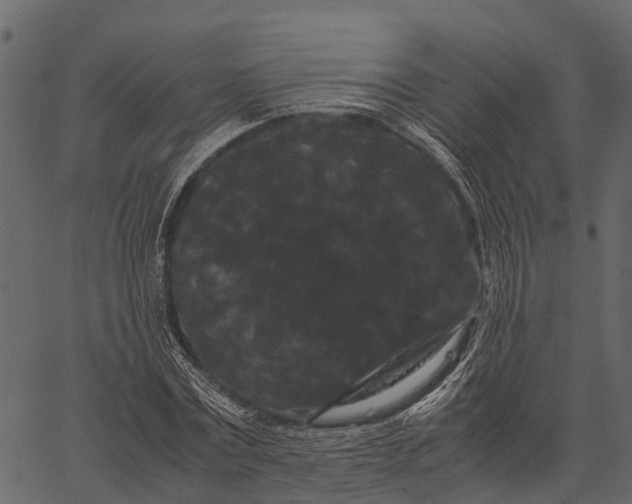 X0000062630779200601111059