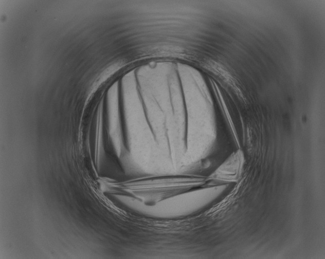 X0000062630780200601111059