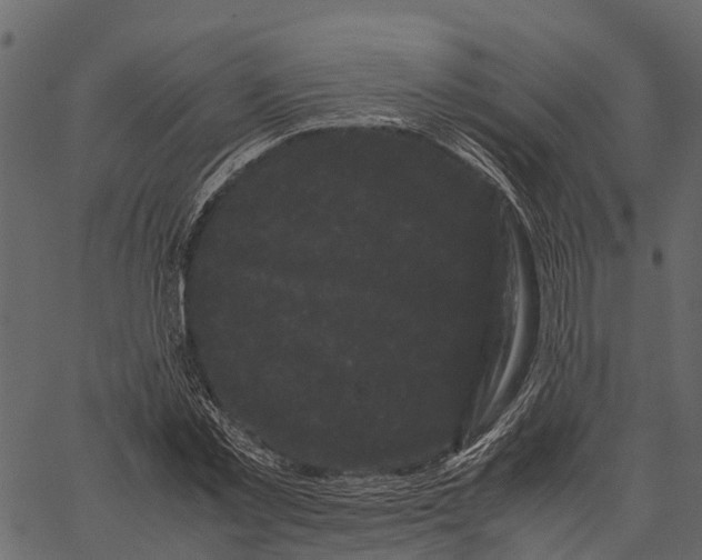 X0000062630781200601111059