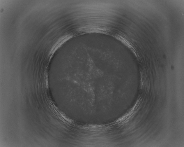 X0000062630782200601111059