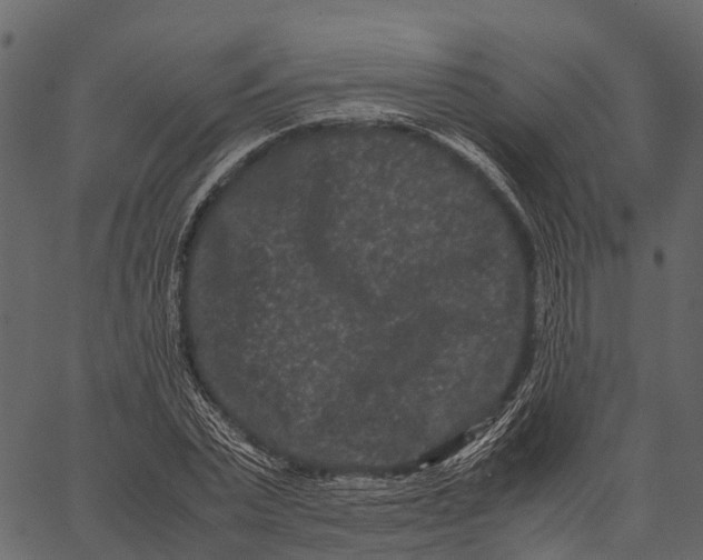 X0000062630783200601111059