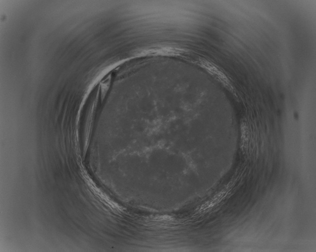 X0000062630784200601111059