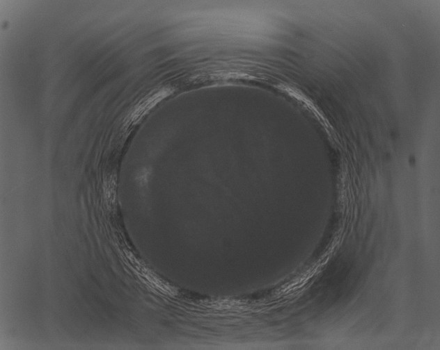 X0000062630785200601111059