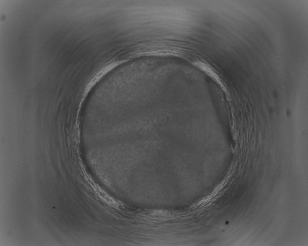 X0000062630787200601111059