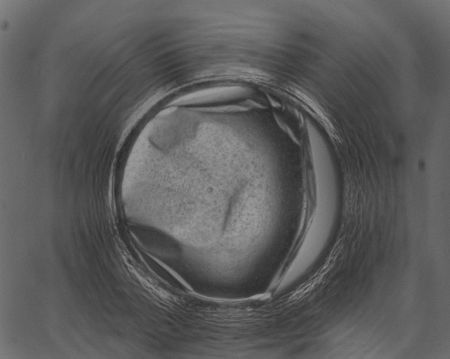 X0000062630788200601111059