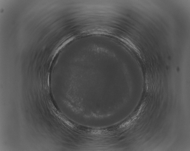 X0000062630790200601111059