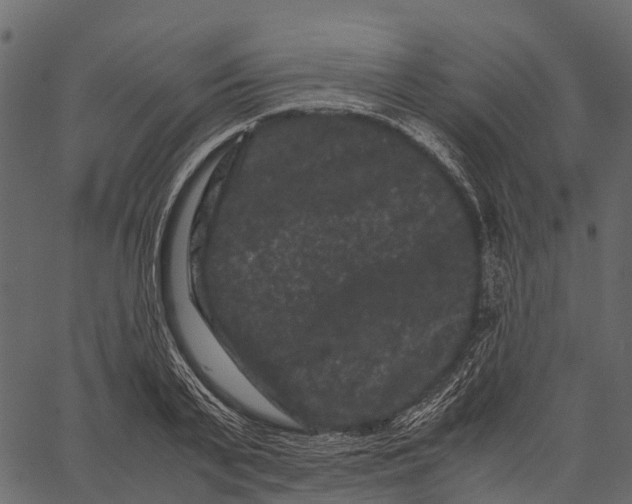 X0000062630791200601111059