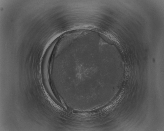 X0000062630792200601111059