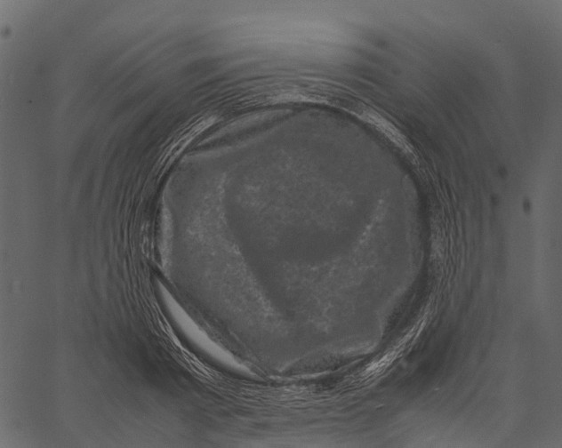 X0000062630793200601111059