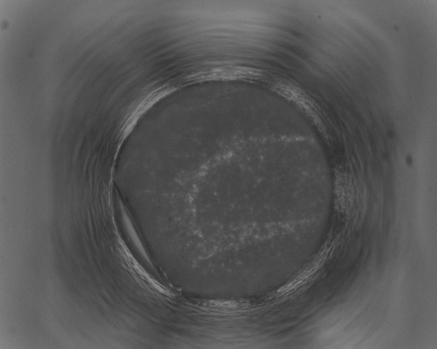 X0000062630794200601111059