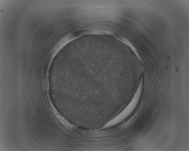 X0000062630795200601111059