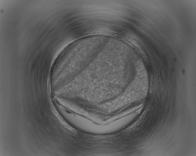 X0000062630796200601111059