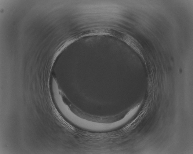 X0000062630797200601111058