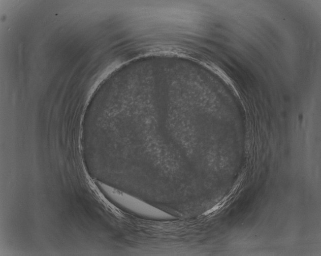 X0000062630799200601111058